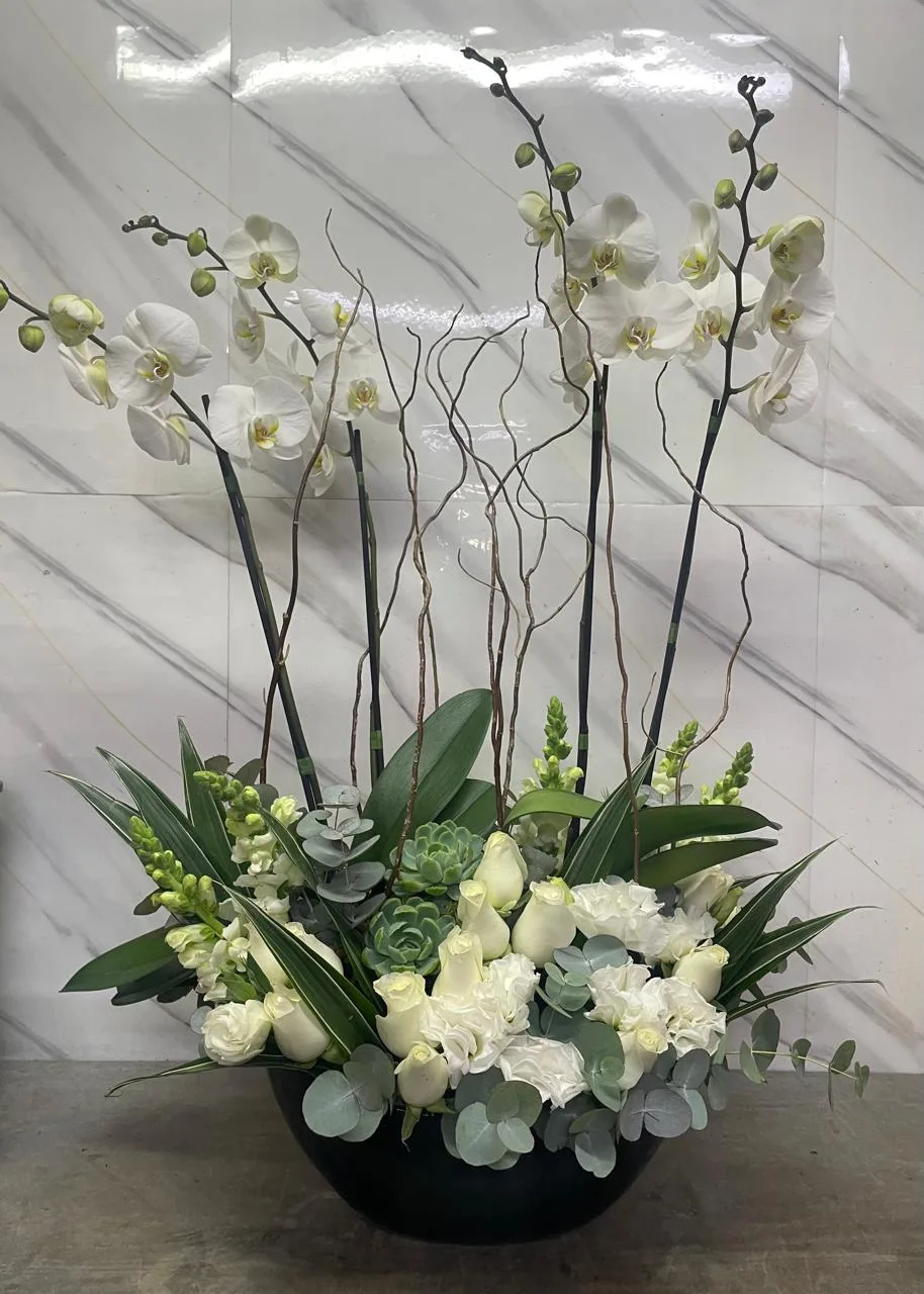 Pensil, plantas de Florería Cruz
