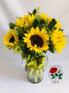 Girasoles